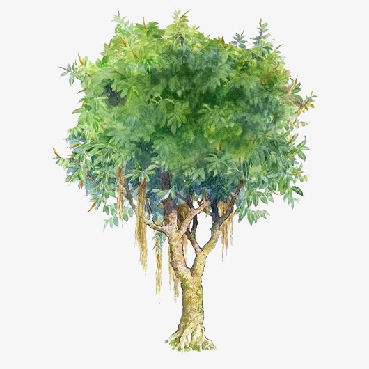 破解版绿色无害(破解无限制green)