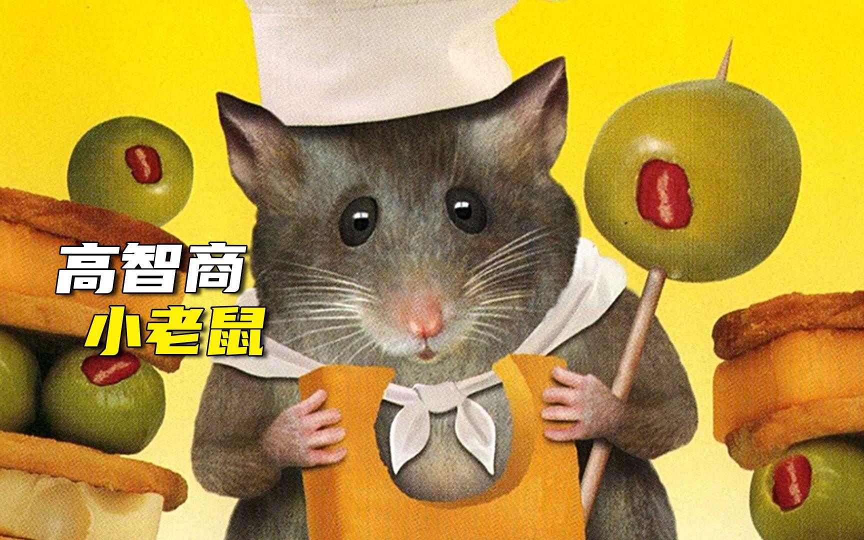 影视猫老版本(影视猫309)
