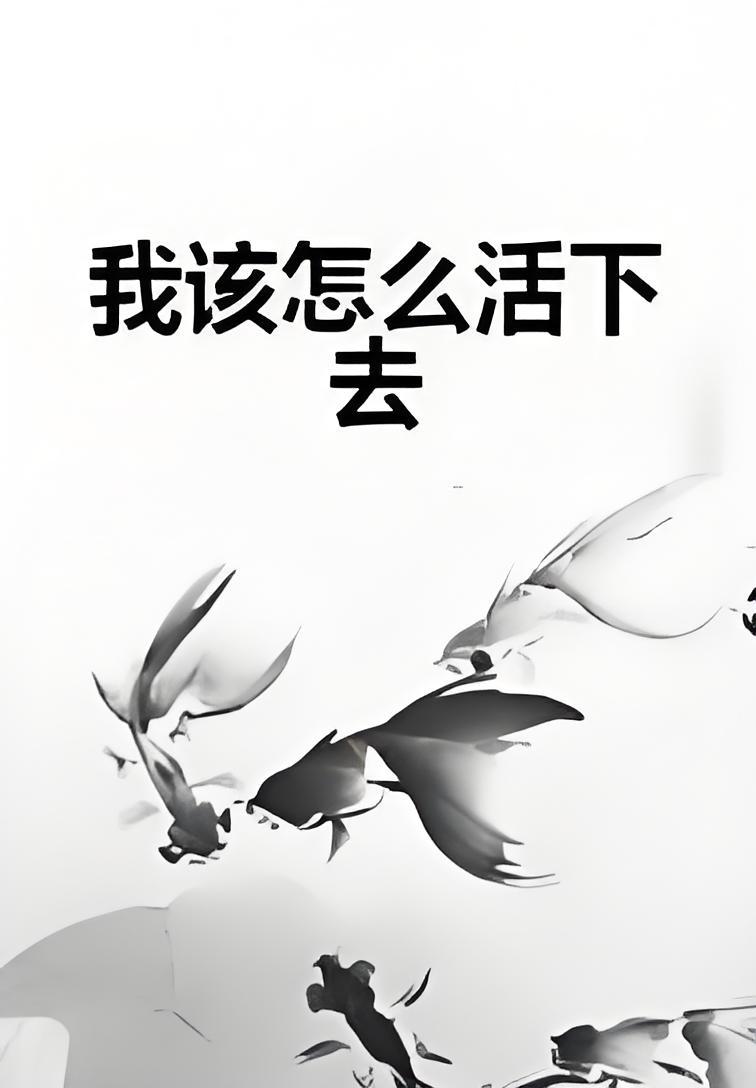 admin 第41页