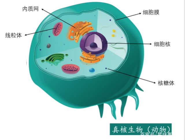 2025年10月 第85页