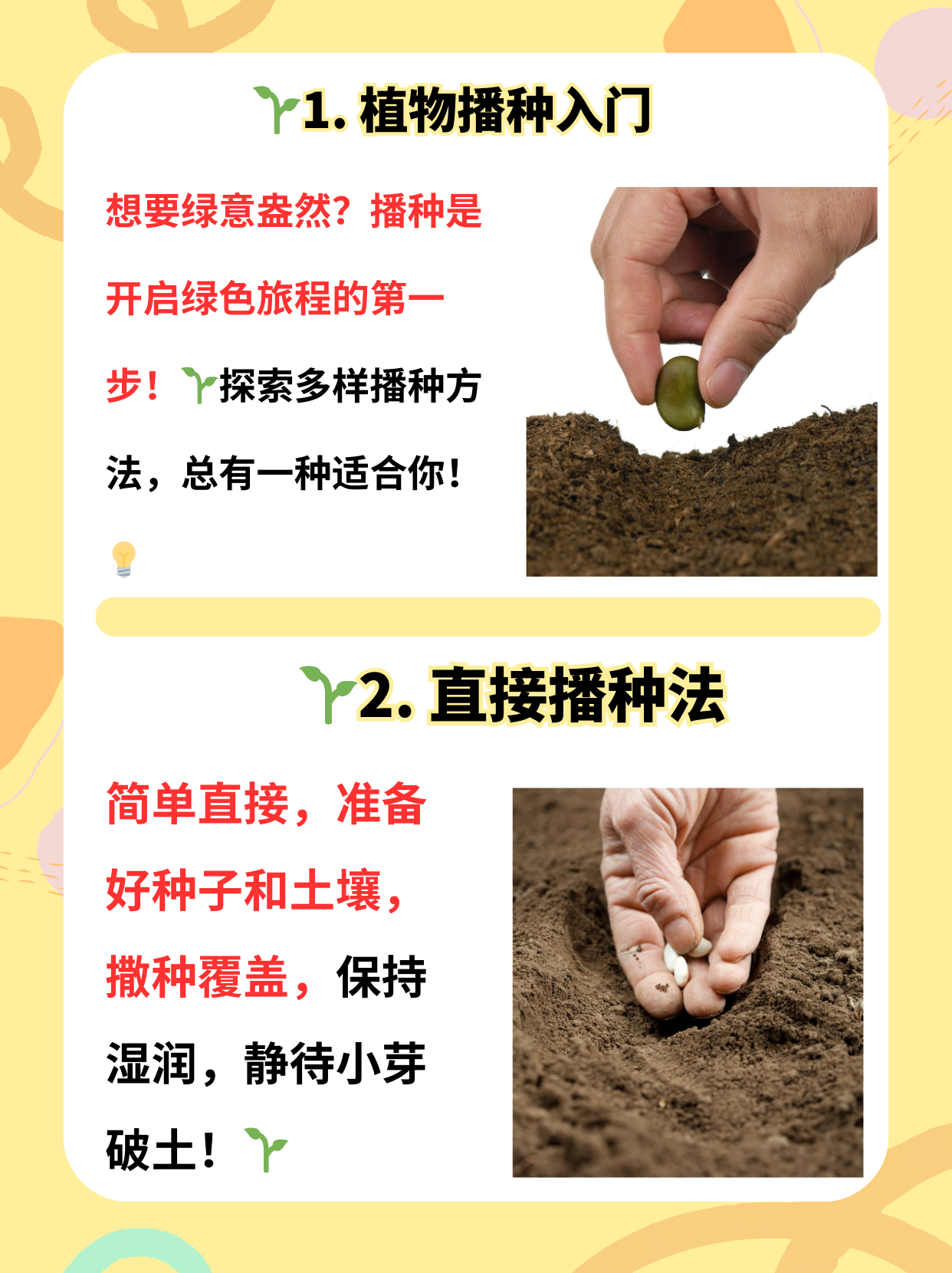 播种大冒险攻略(疯狂播种大冒险视频)