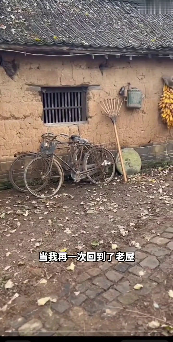 破解版山村老屋(山村老屋破解版2)