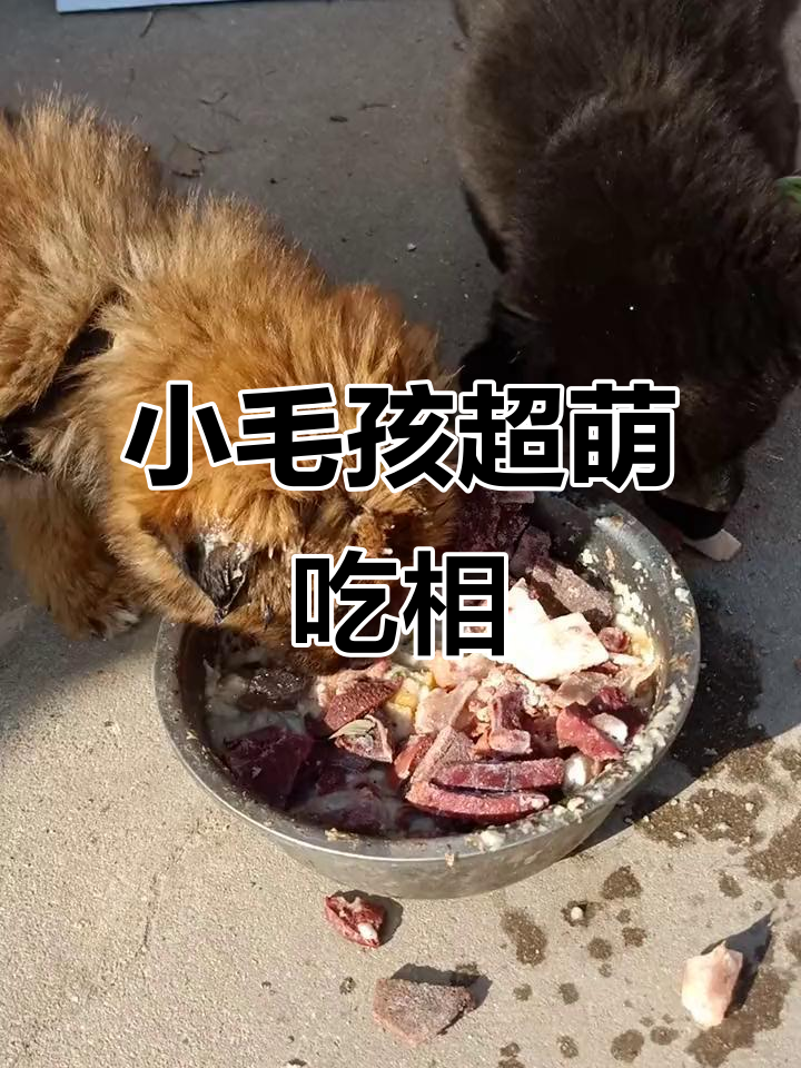 小宝贝吃东西游戏(小宝宝吃东西的视频)