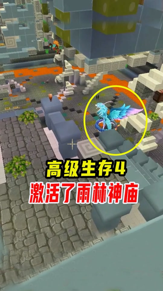 迷你世界雨林联机(迷你世界雨林联机版本下载)