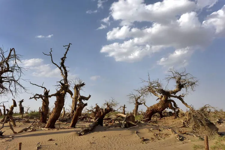 战场呐喊破解版下载(战场的呐喊有手机版吗)