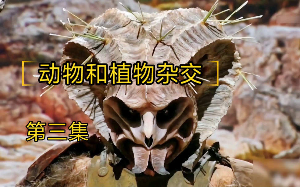 饥饿植物破解版无限钻石(饥饿界破解版无限钻石和金币)