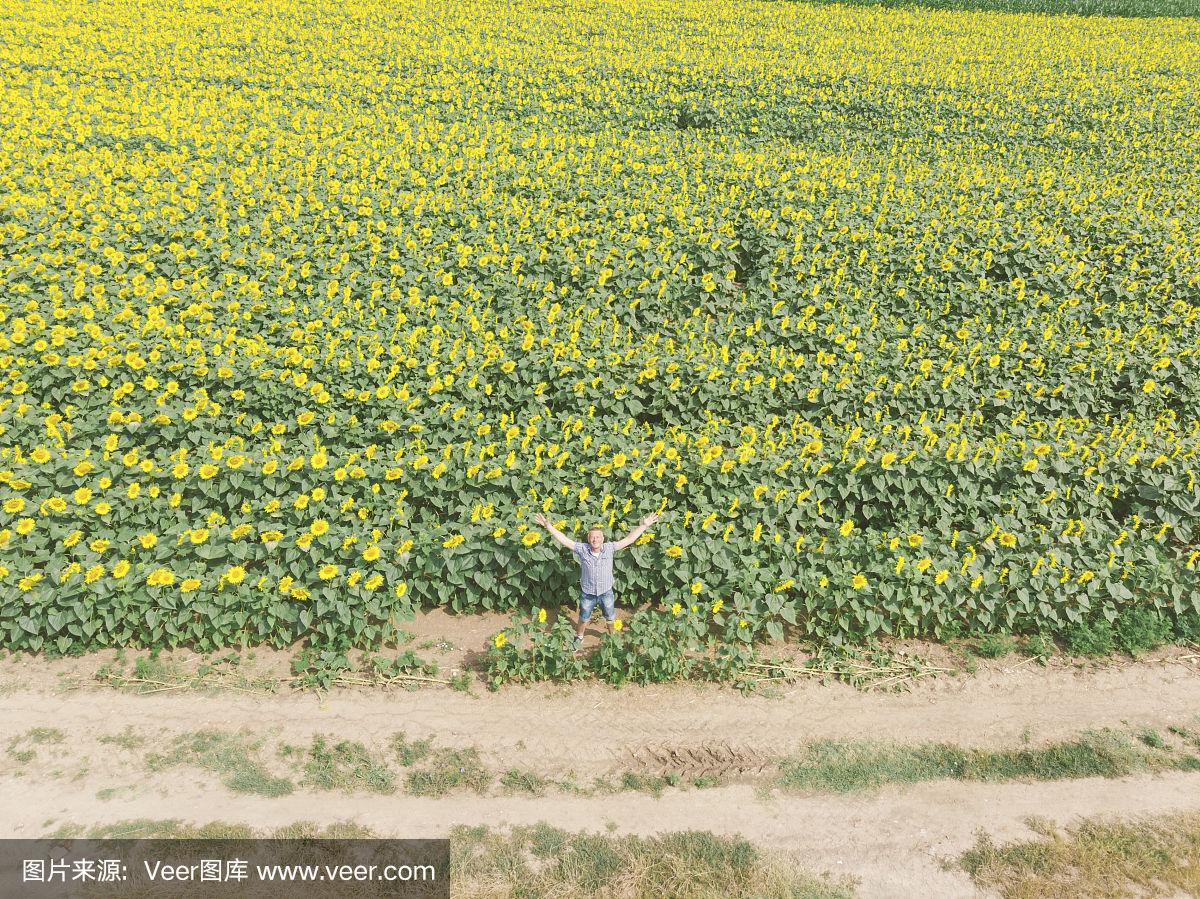 成人向日葵app安卓下载地址(成人向日葵app安卓下载地址在哪)