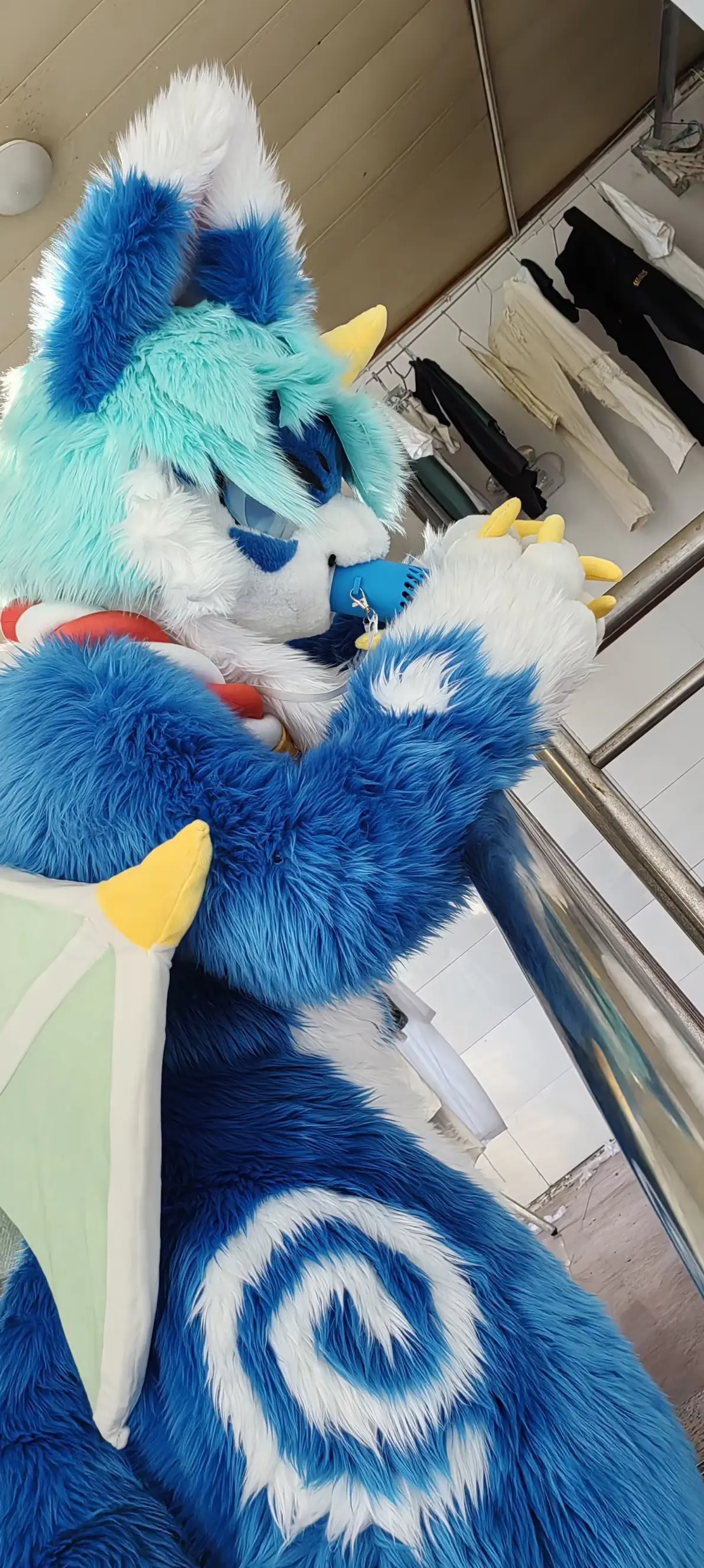 4399洛克王国毛毛(洛克王国毛懒懒怎么获得)