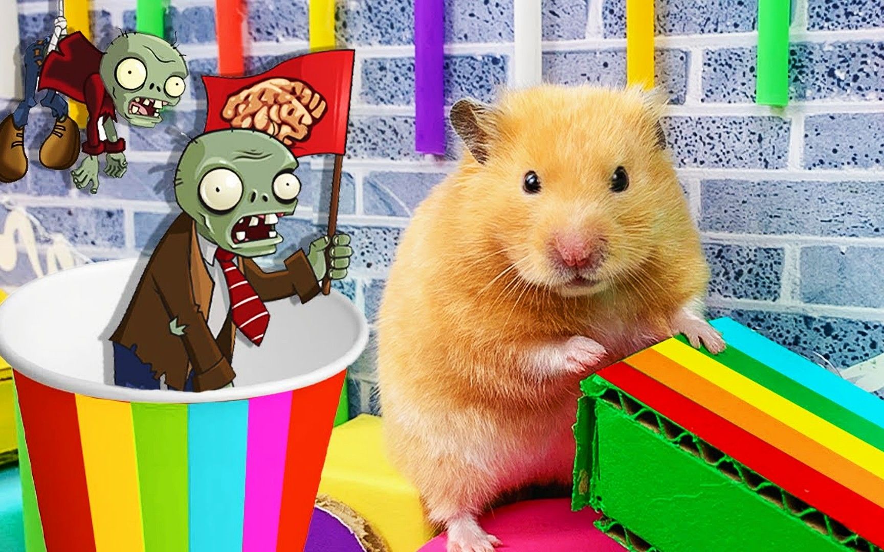 仓鼠玩cf(仓鼠玩儿的摩天轮叫什么?)